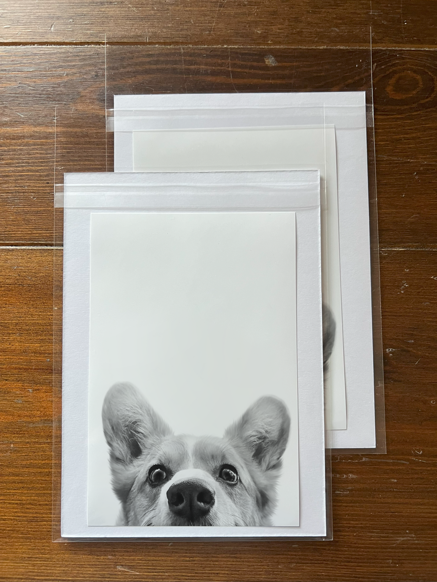 Peeking Pet Unframed Print