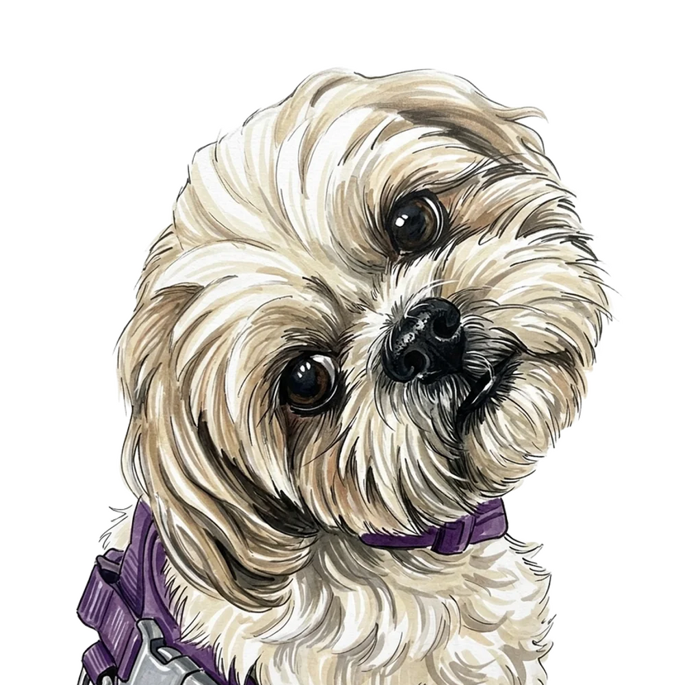 Luna in Marker