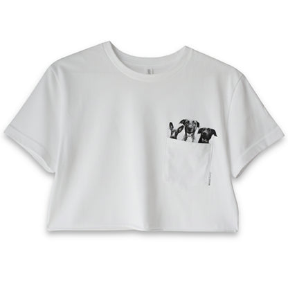 Lightweight Pet-In-Pocket Cropped Tee