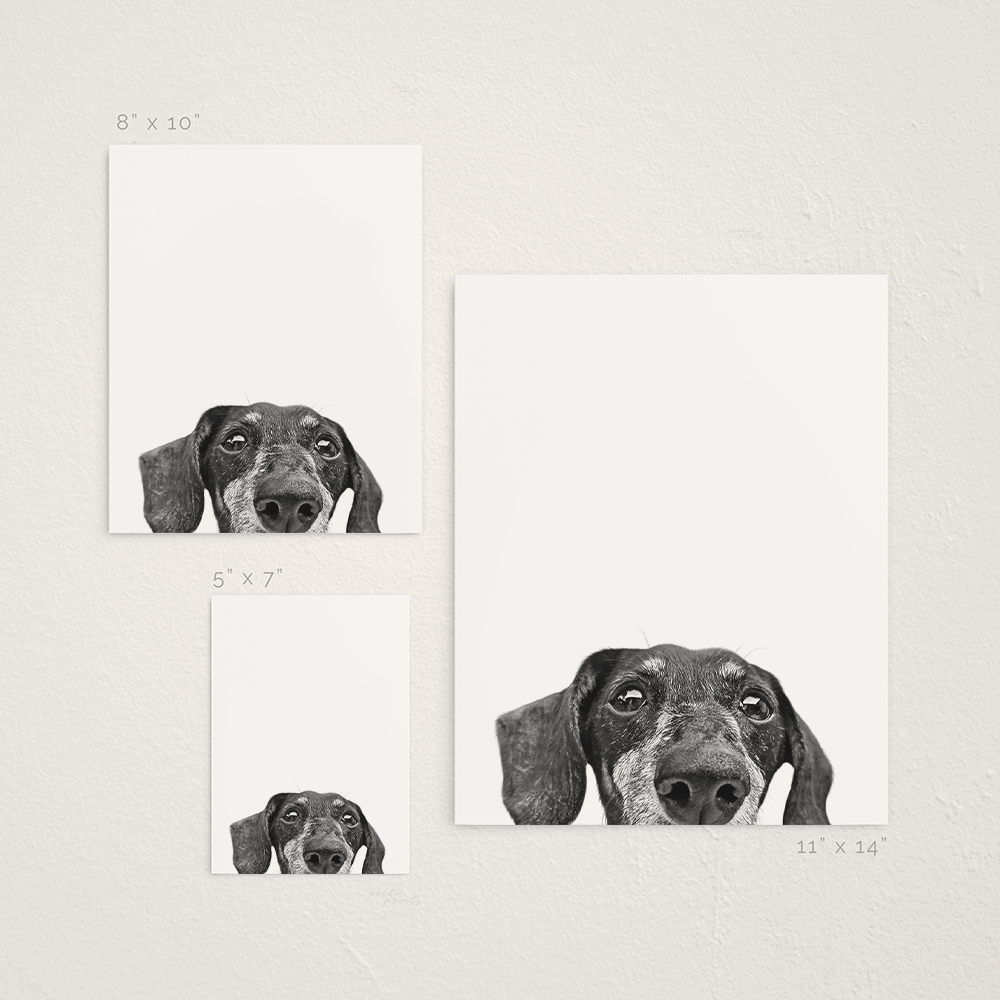 Peeking Pet Unframed Print