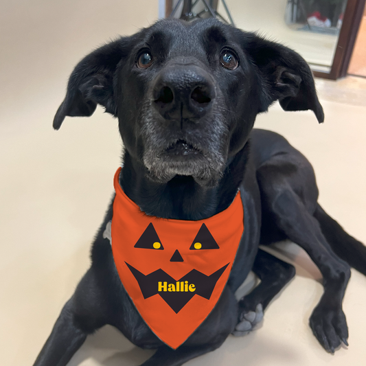 Halloween Bandana