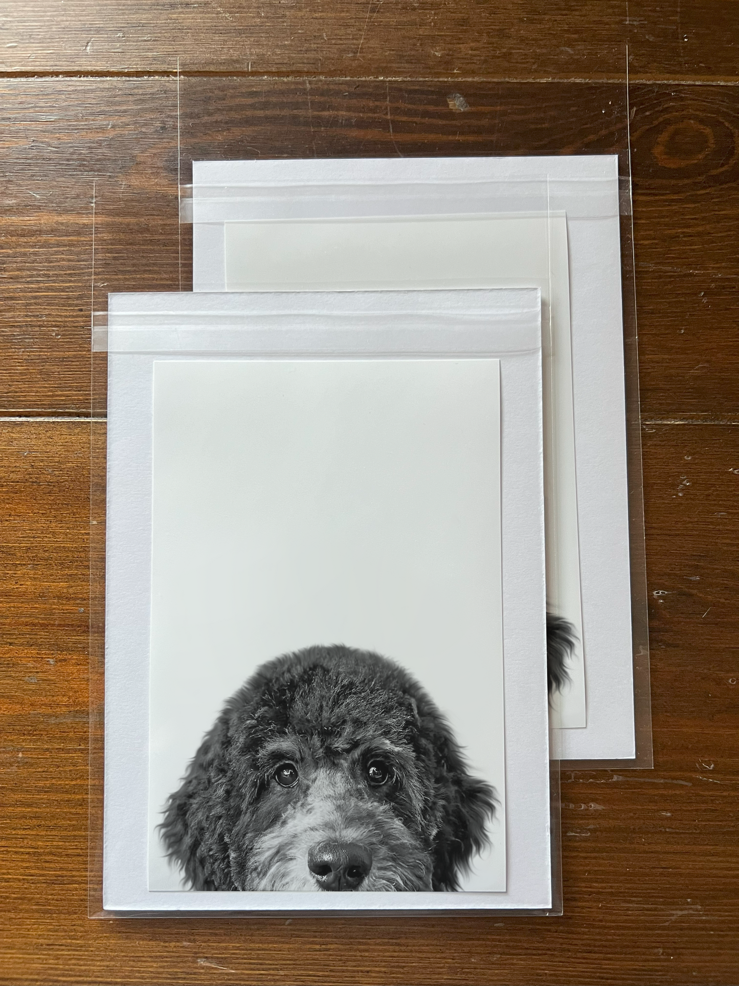 Peeking Pet Unframed Print