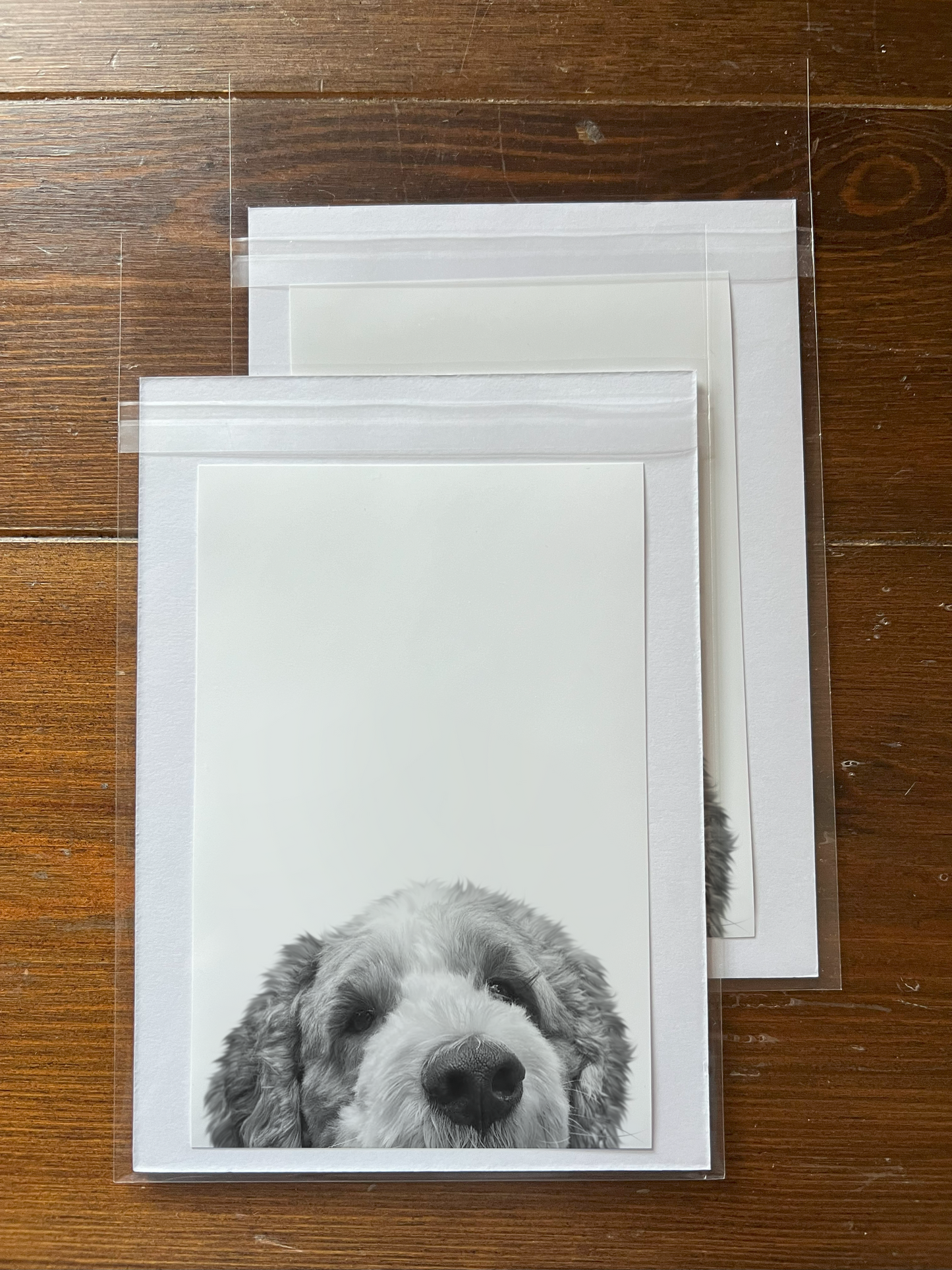 Peeking Pet Unframed Print