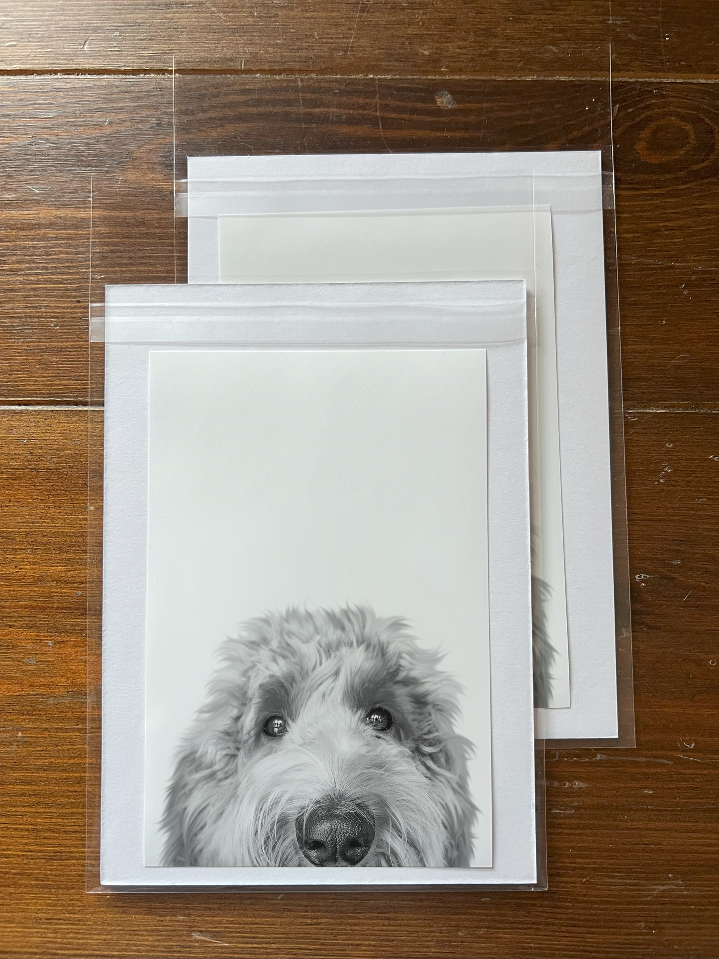 Peeking Pet Unframed Print