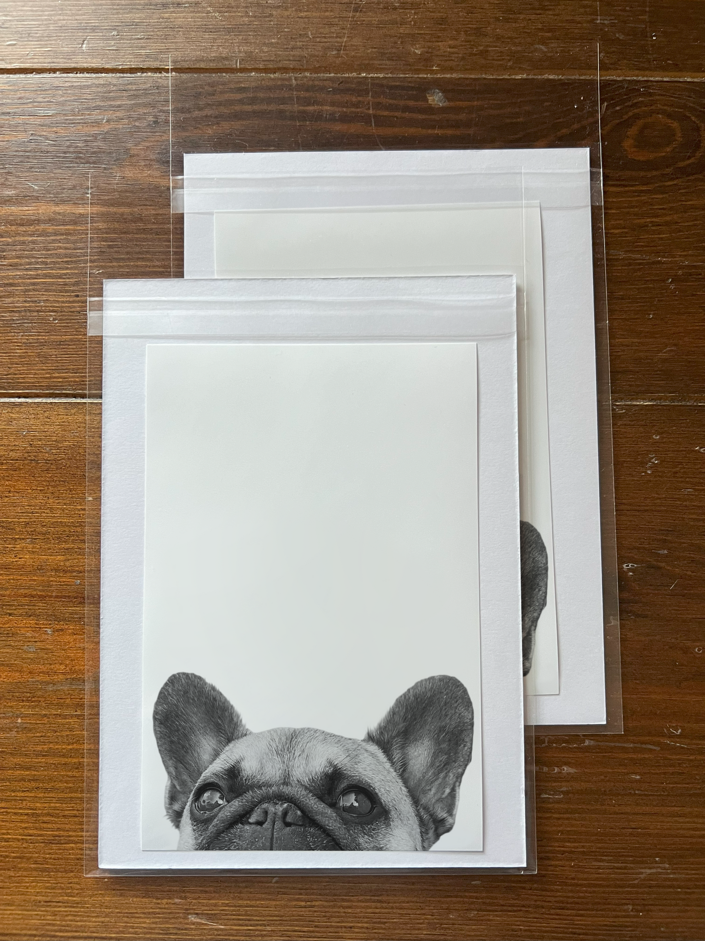 Peeking Pet Unframed Print