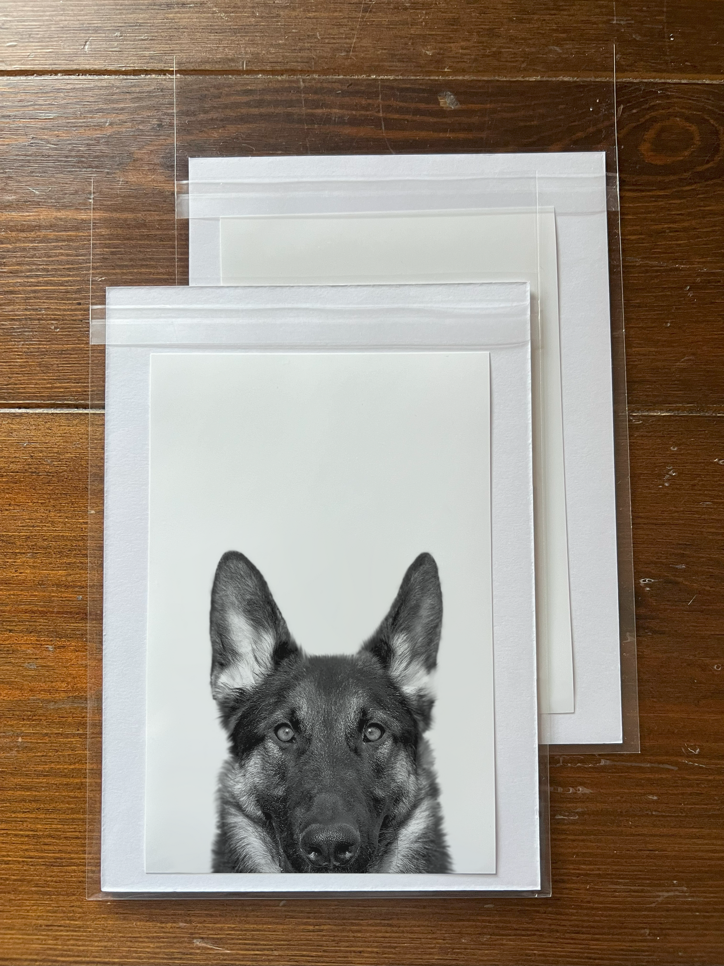 Peeking Pet Unframed Print