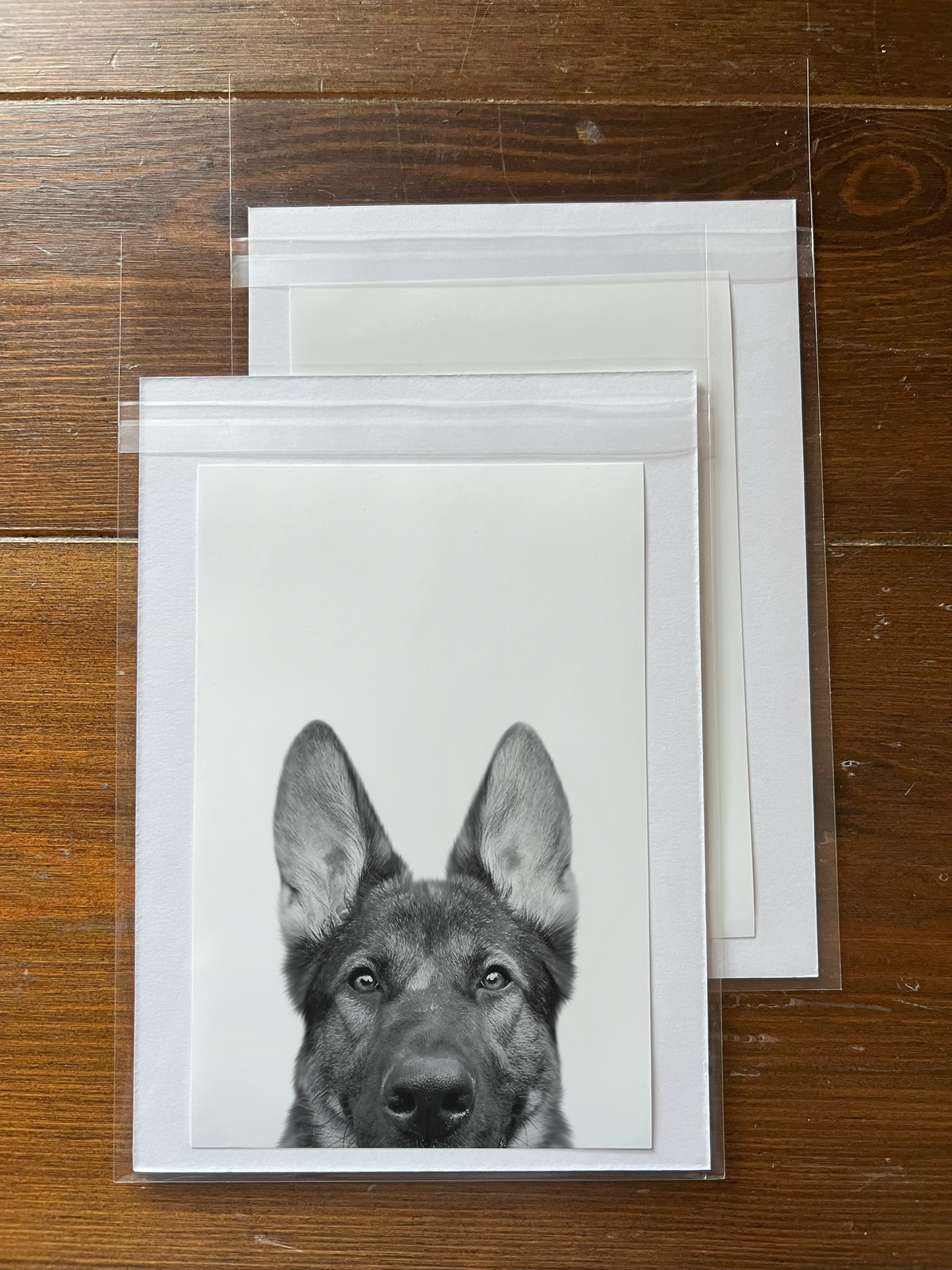 Peeking Pet Unframed Print