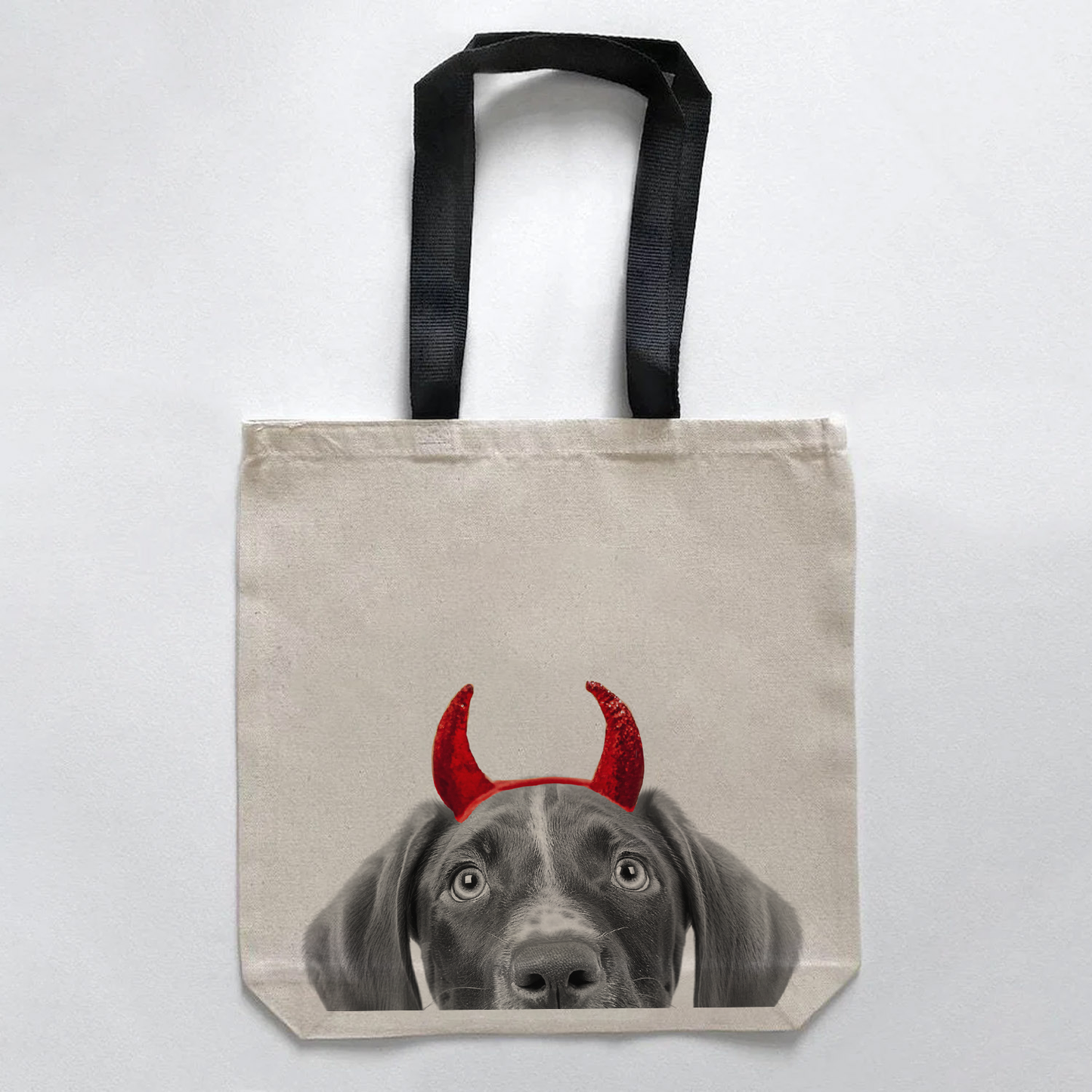 German Shorthair Pointer (GSP)