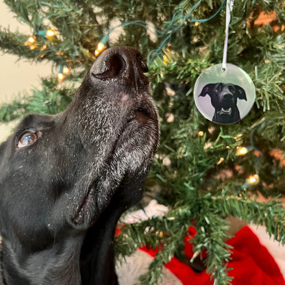 Glass Holiday Ornament