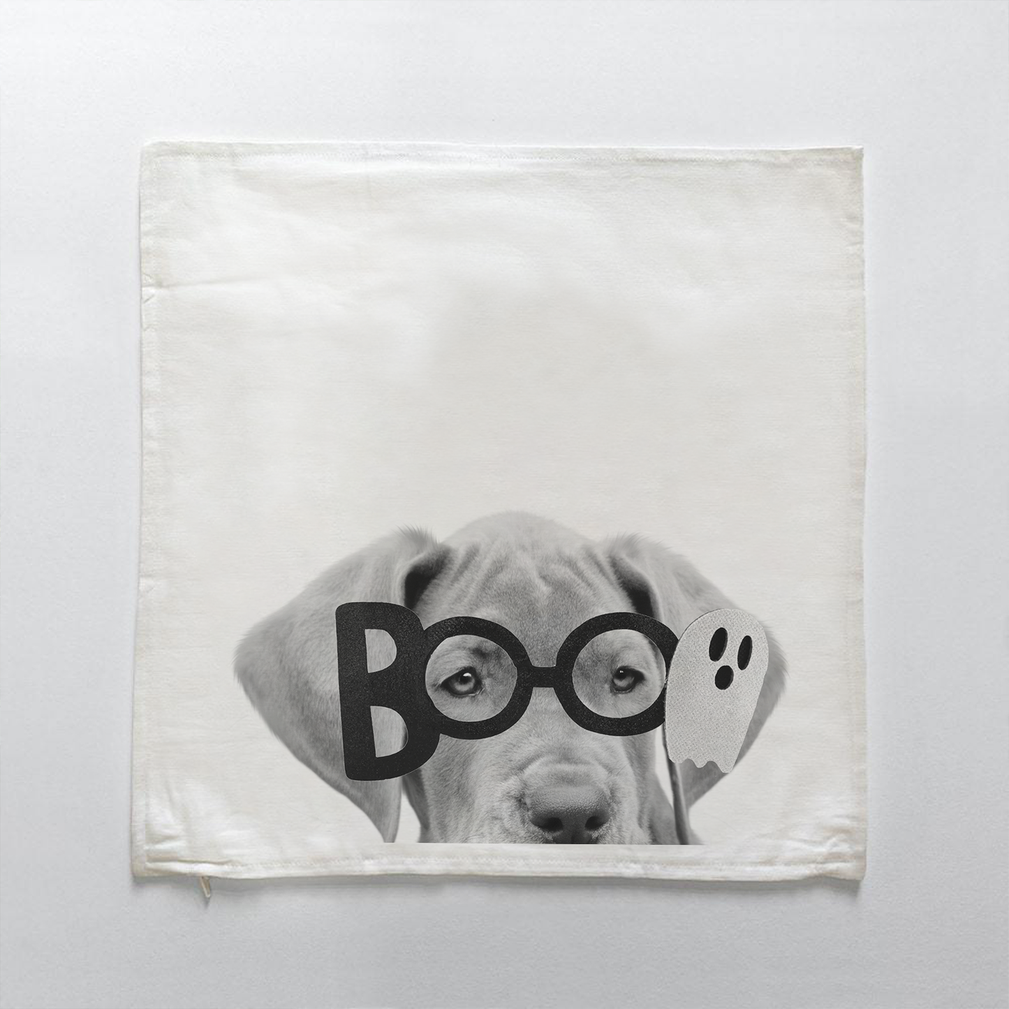 Lil' Boo Peeking Pet Halloween Pillow Cover