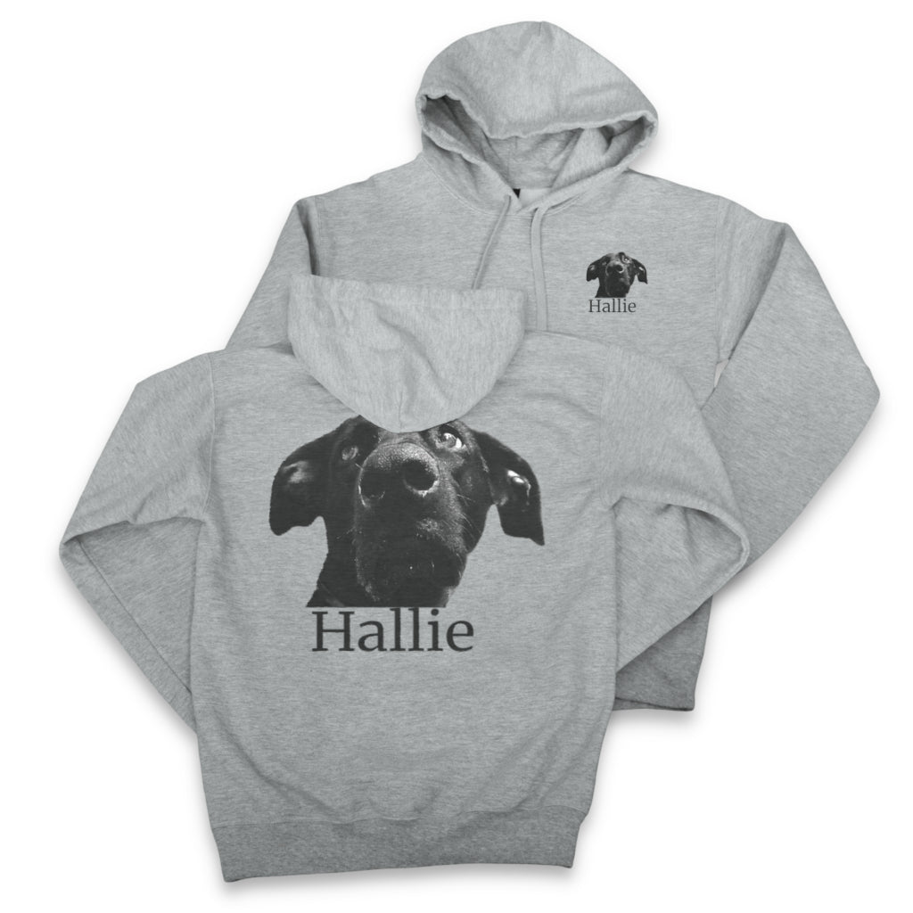 Hoodie - Chest & Back Graphic