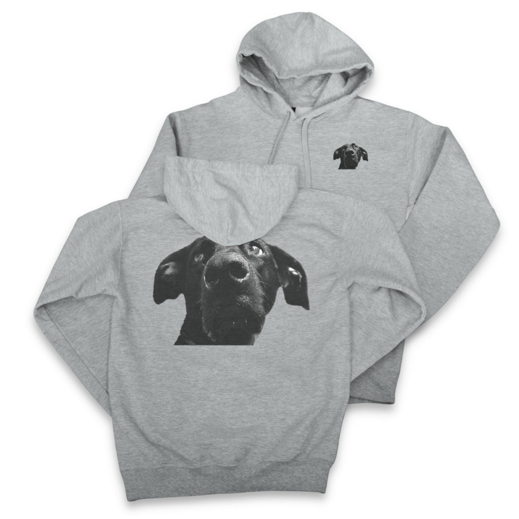 Hoodie - Chest & Back Graphic