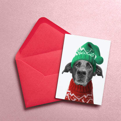 Pack of Holiday Postcards