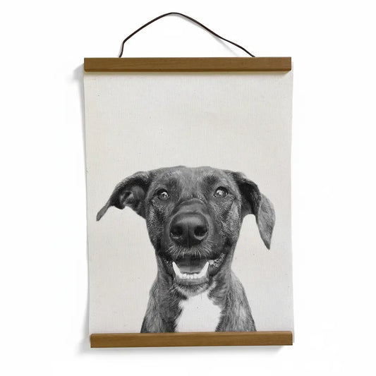 Hanging Canvas