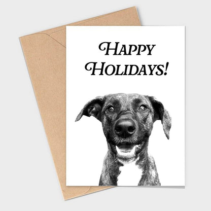 Pack of Holiday Cards