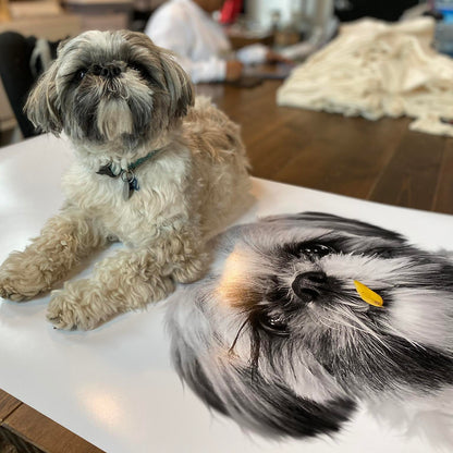 Pet Portrait - Unframed