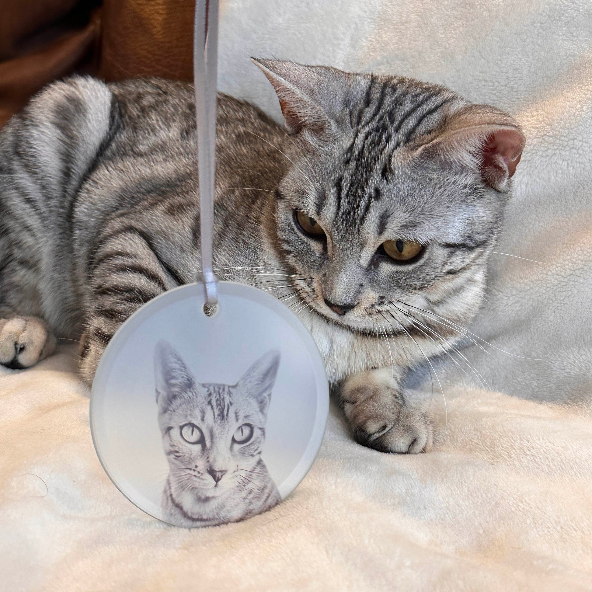 Cat Gift Custom Portrait Christmas Ornament