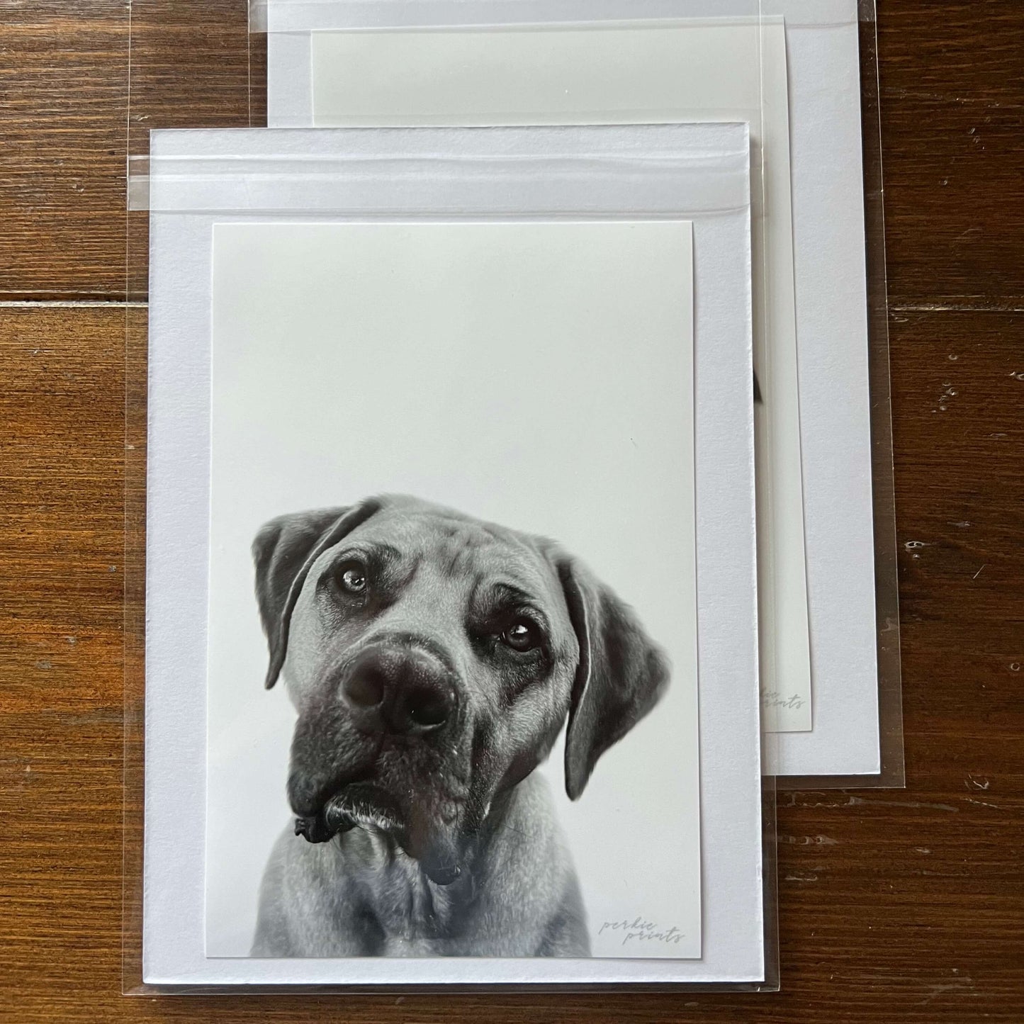 Pet Portrait - Unframed