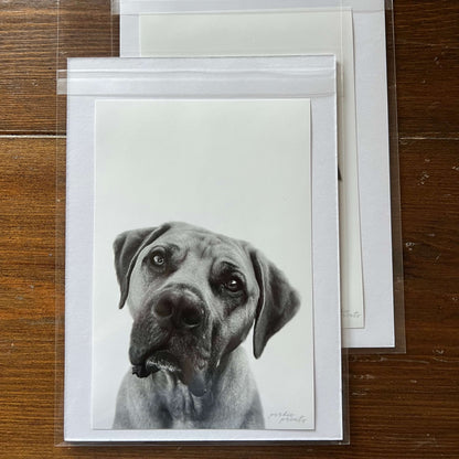 Pet Portrait - Unframed