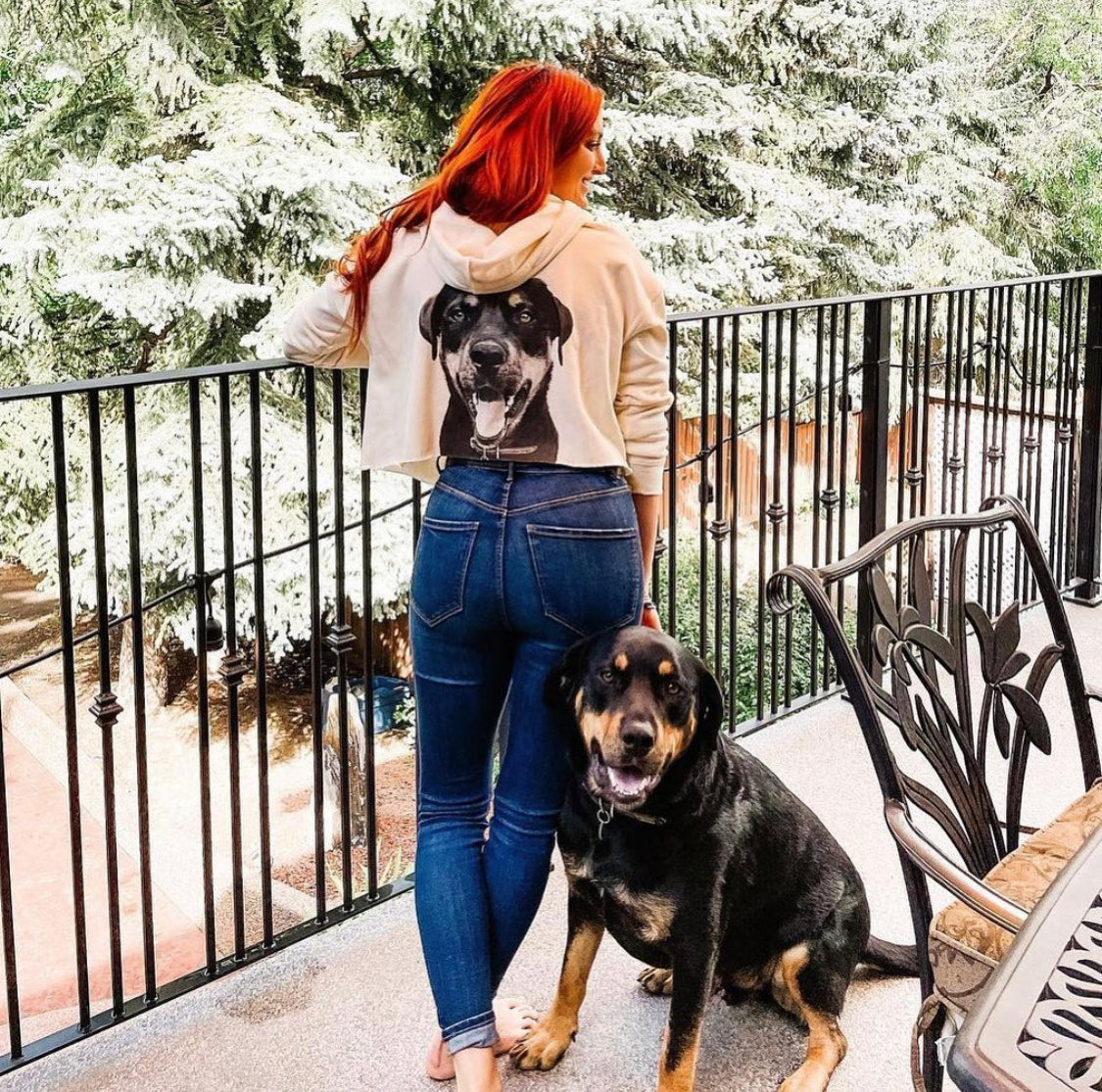 Custom rottweiler portrait from photo
