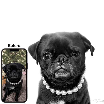 New Perkie Print Pet Artwork