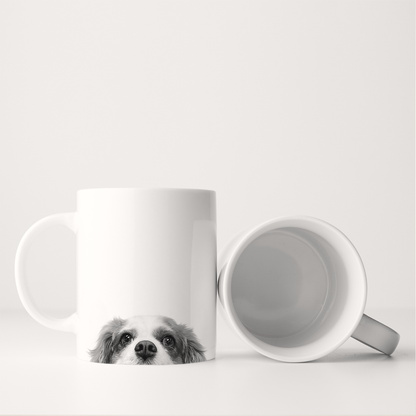 Cavalier King Charles 1