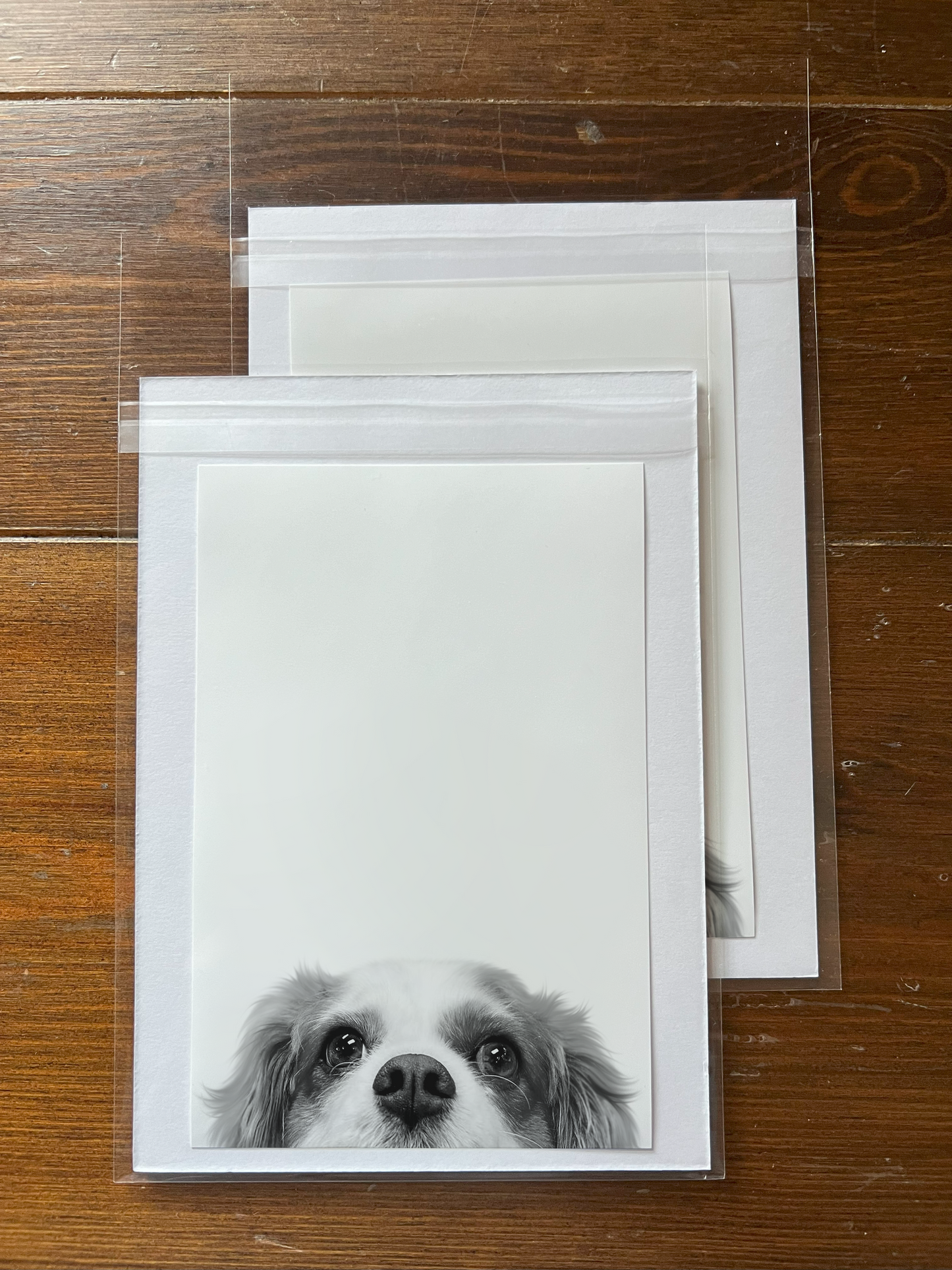 Peeking Pet Unframed Print