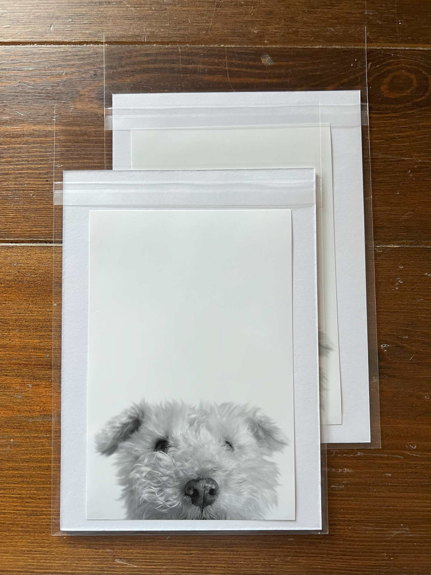 Peeking Pet Unframed Print