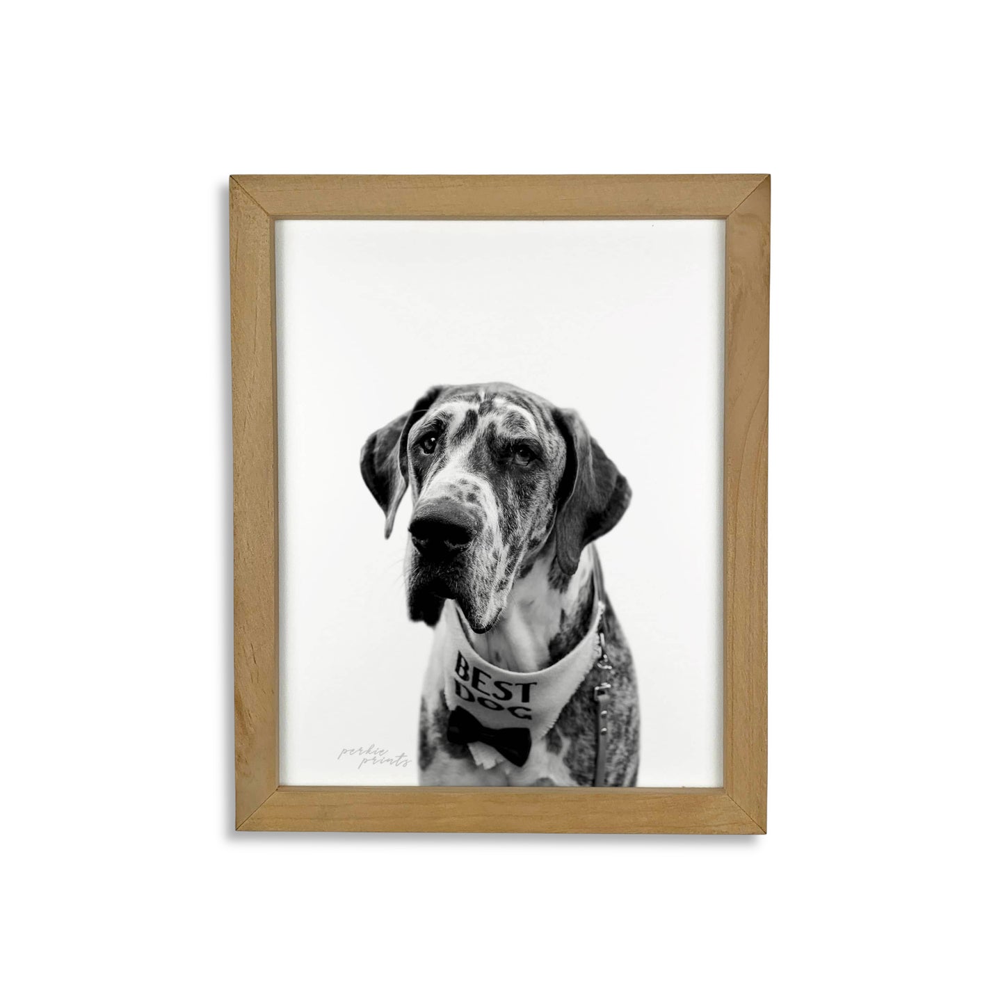 Pet Portrait in Natural Wood Frame
