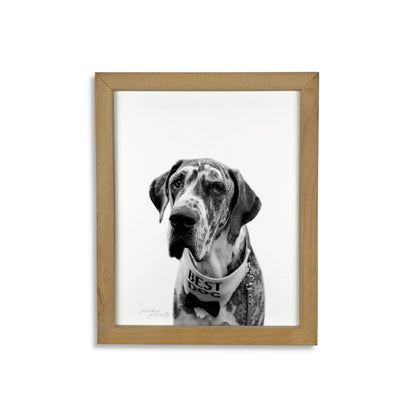 Pet Portrait in Natural Wood Frame