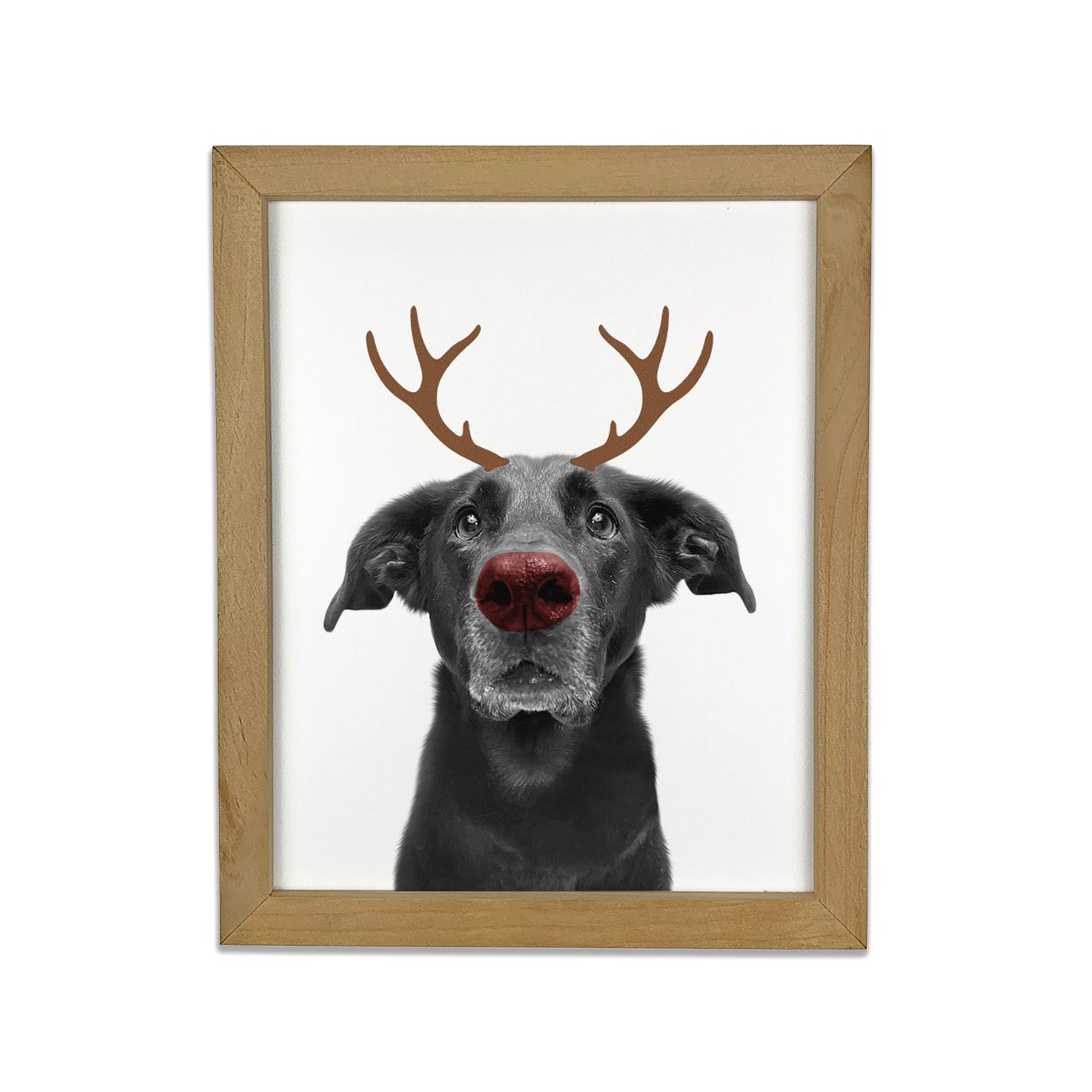 Holiday Pet Portrait in Natural Frame