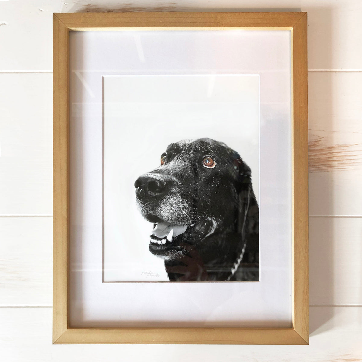 Custom labrador retriever portrait from photo