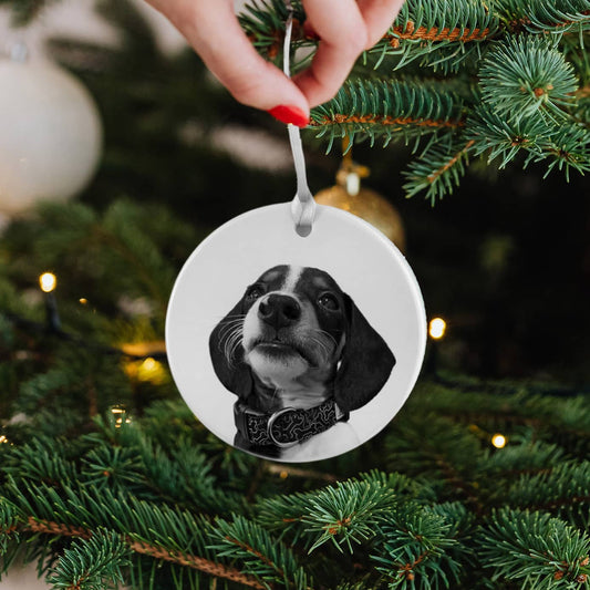 Personalized Pet Ceramic Holiday Ornament