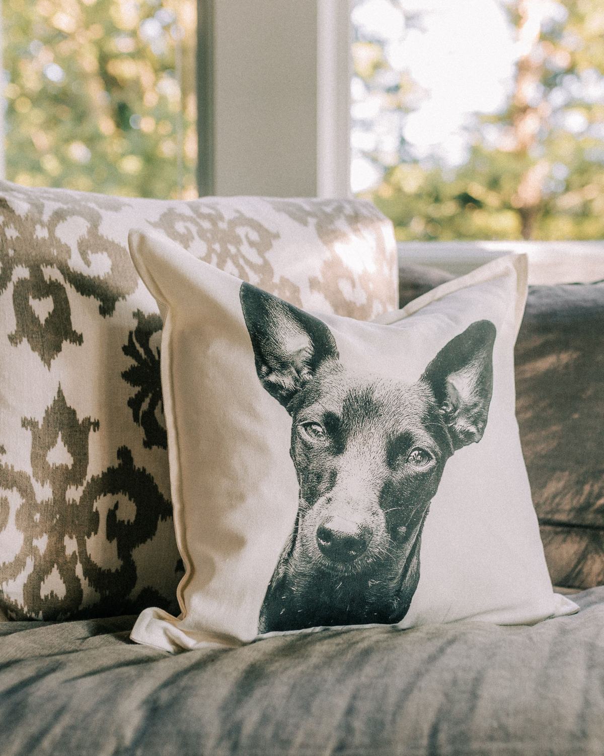Decorative pillows on a couch with one featuring a dog's face.
