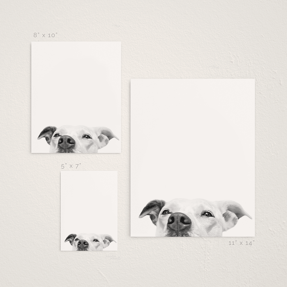 Peeking Pet Unframed Print