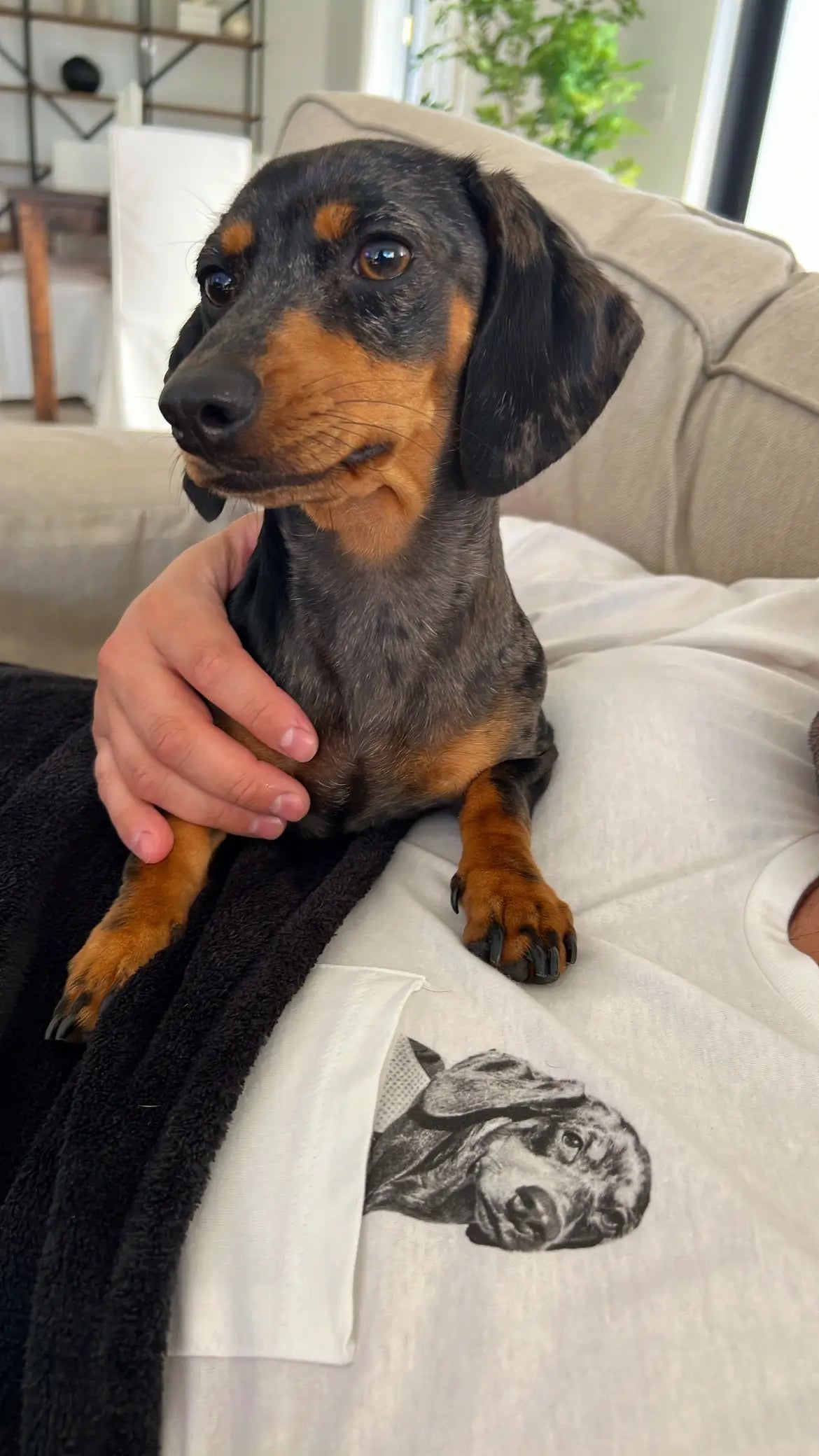 Lightweight Pet-In-Pocket Tee