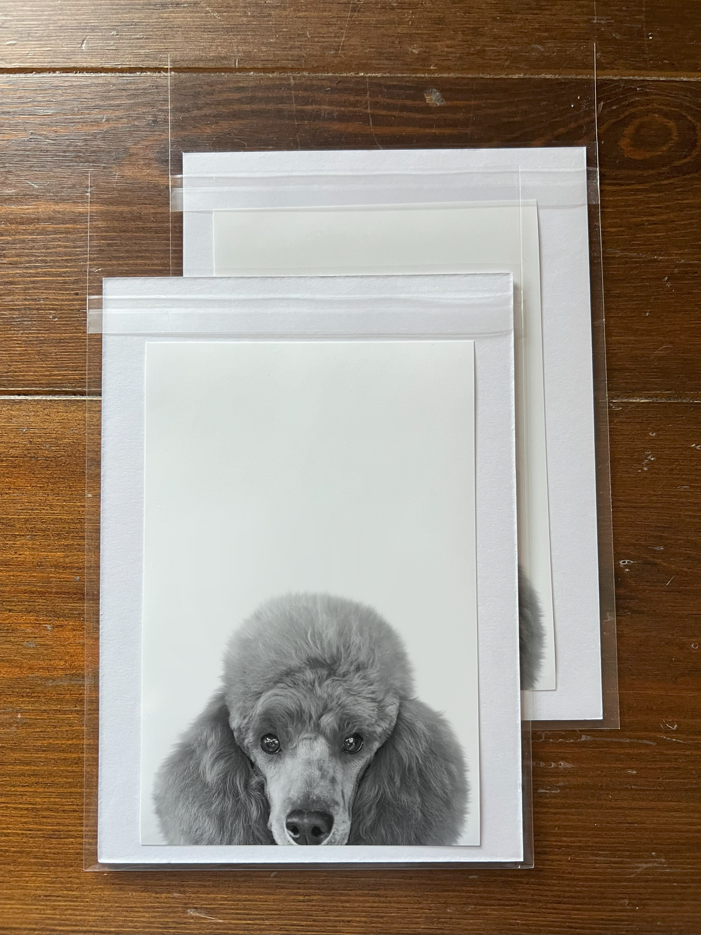 Peeking Pet Unframed Print