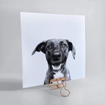 Pet Portrait - Unframed