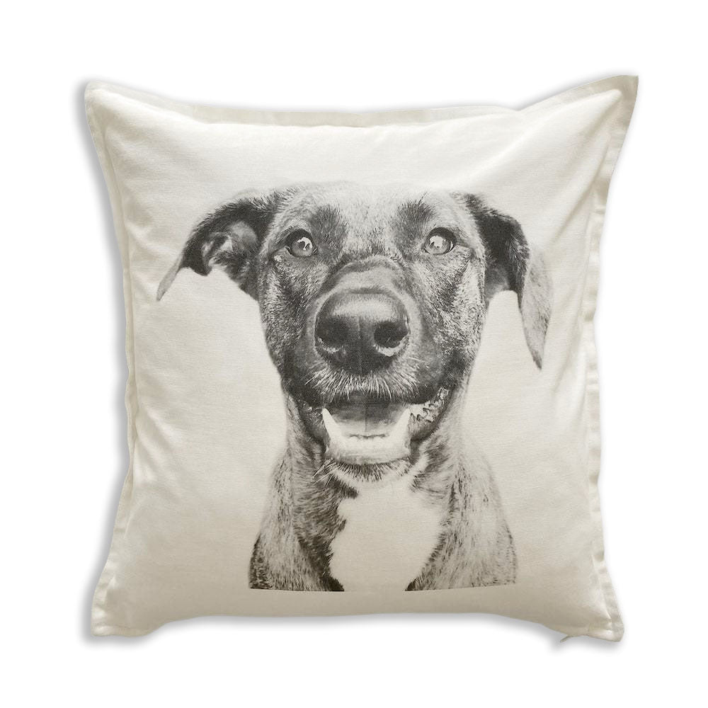 Throw Pillow Cover
