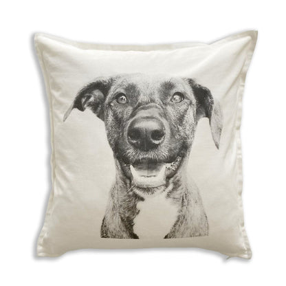 Throw Pillow Cover