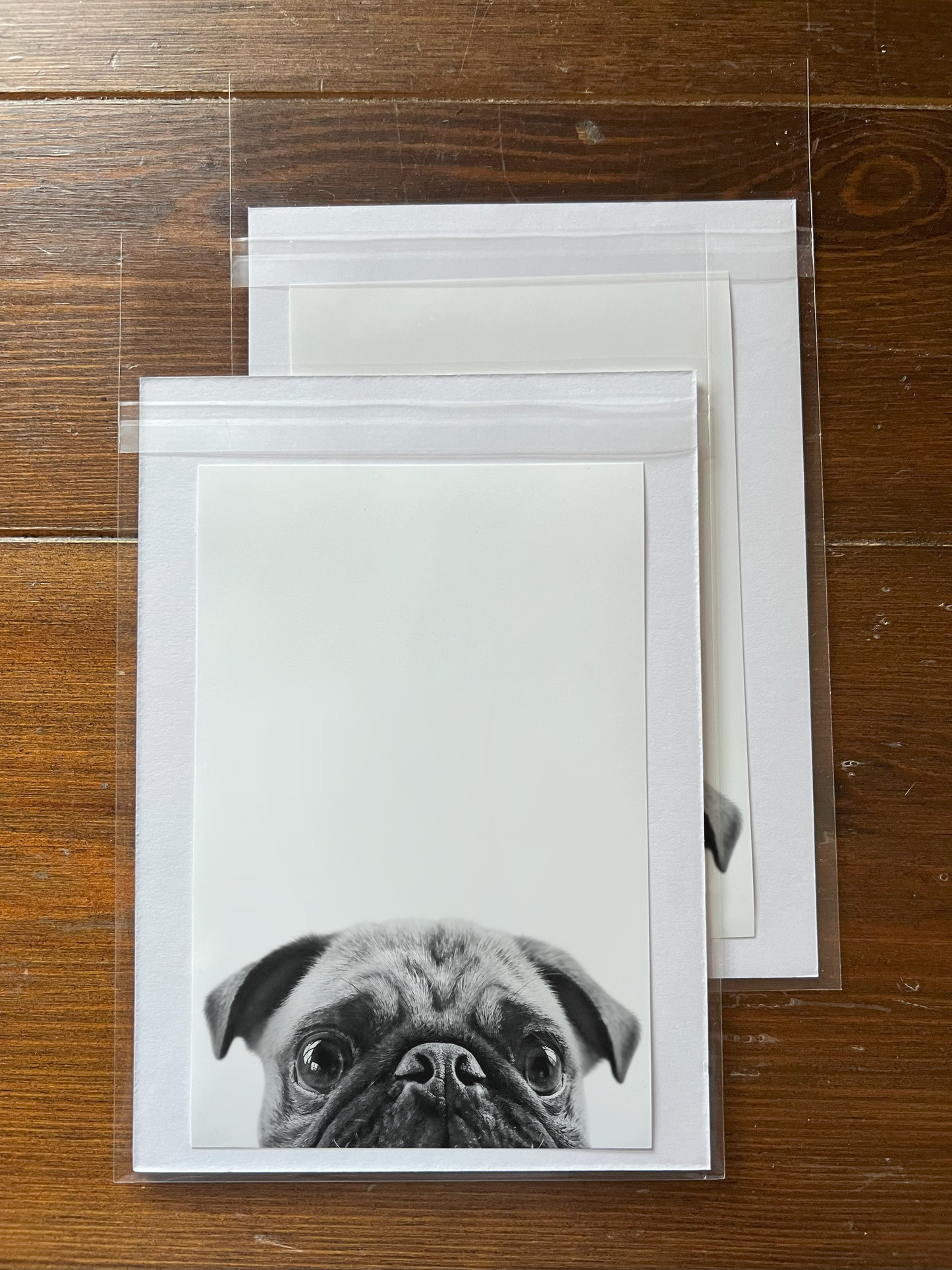 Peeking Pet Unframed Print