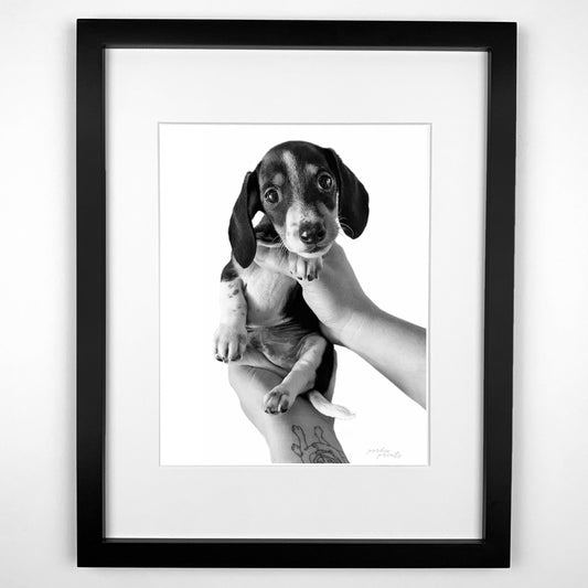 Pet Portrait in Black Frame