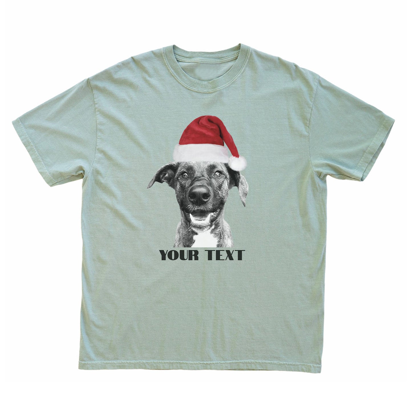 Crew T-Shirt - Santa Hat Graphic