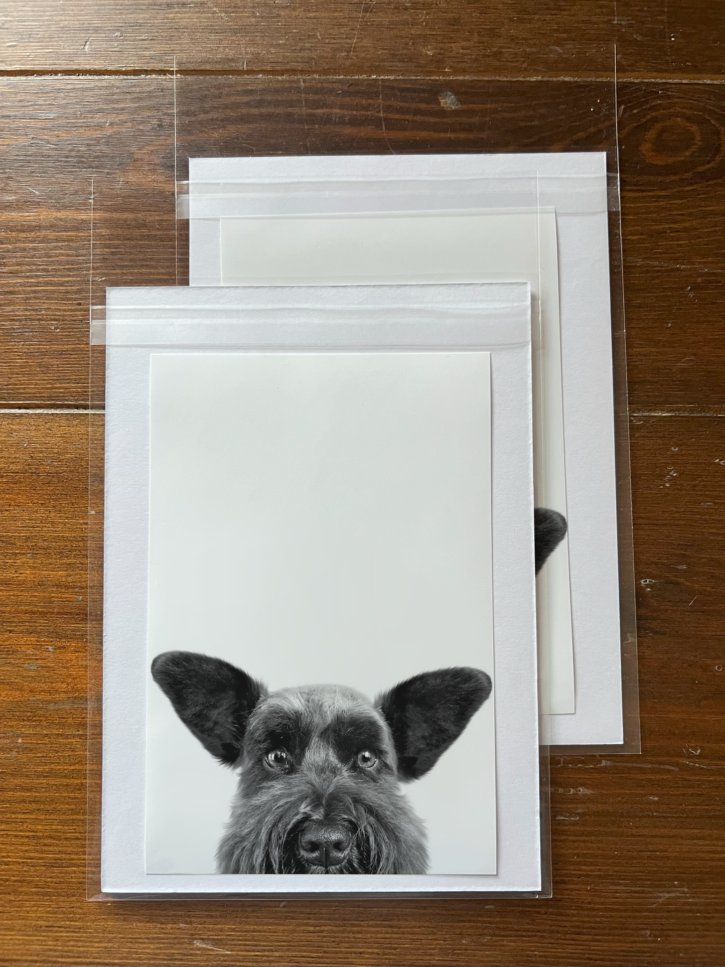 Peeking Pet Unframed Print