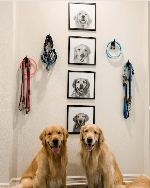 Custom golden retriever portrait from photo