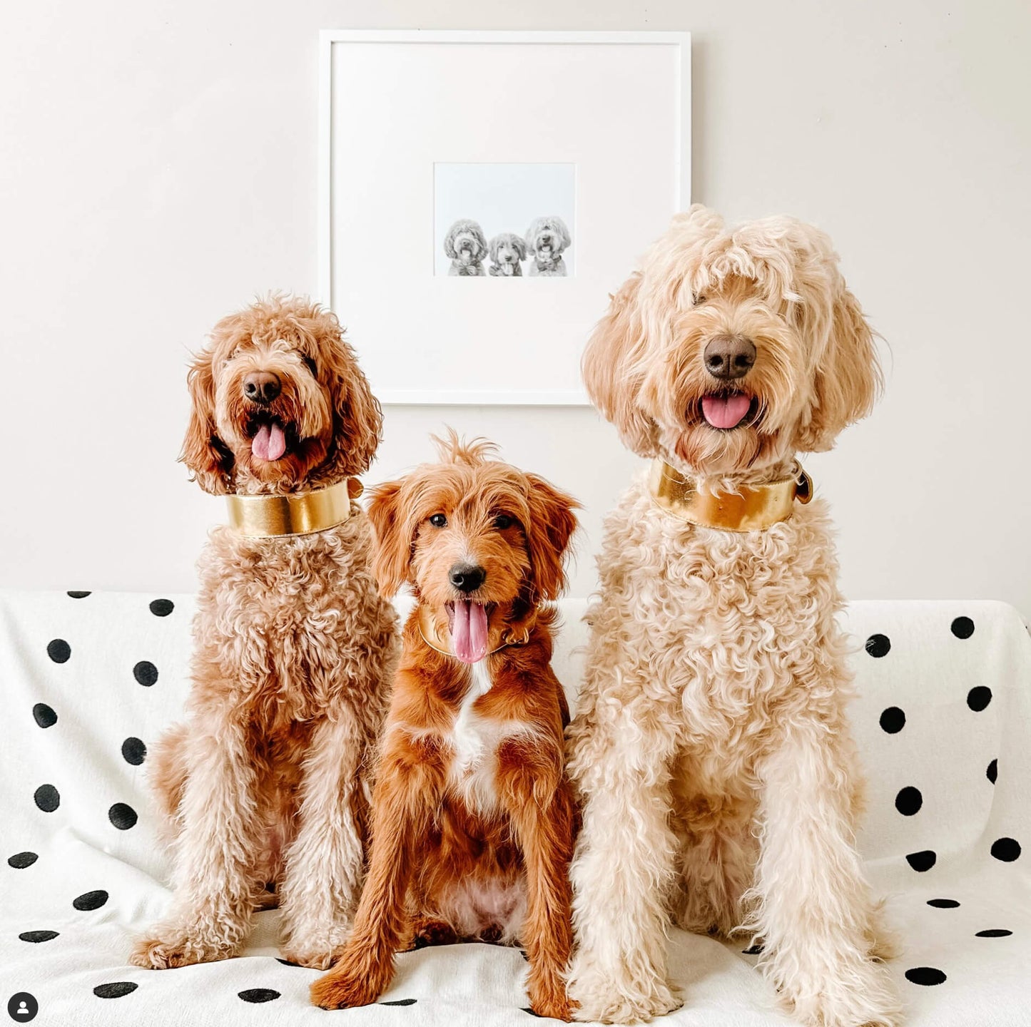 Pet Portrait in White Frame