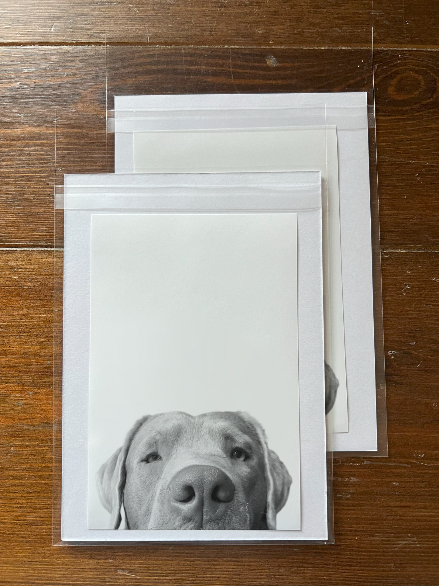 Peeking Pet Unframed Print