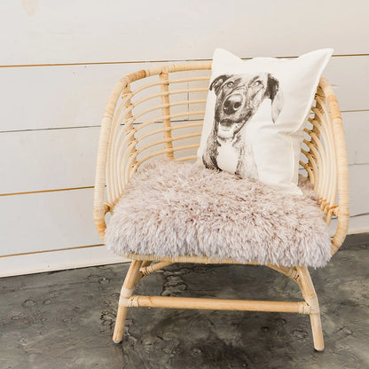 Throw Pillow Cover