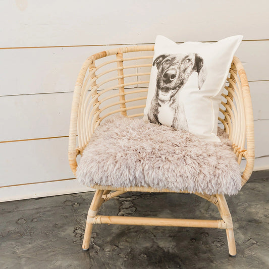 Throw Pillow Cover