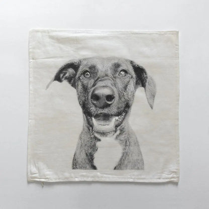 Throw Pillow Cover